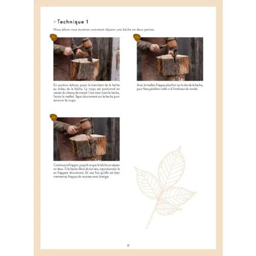 morepic-10