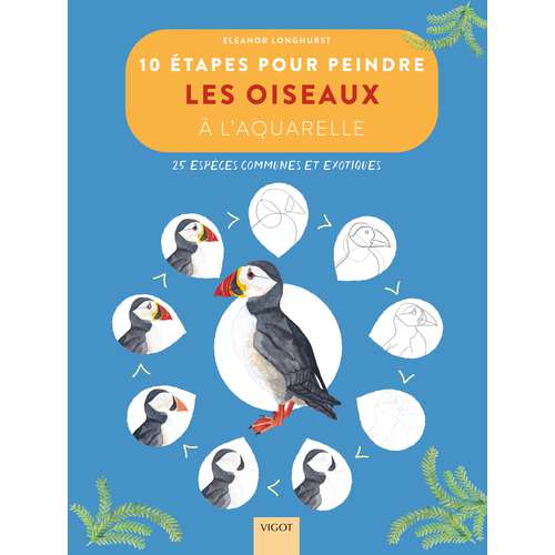 10 étapes pour peindre les oiseaux à l'aquarelle 