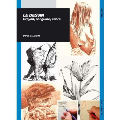 Le dessin - Crayon, sanguine, encre 