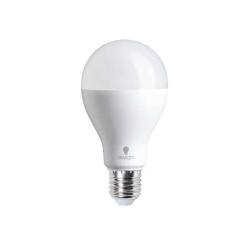 DAYLIGHT® spaarlamp 