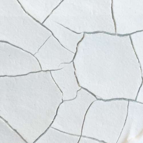 morepic-2