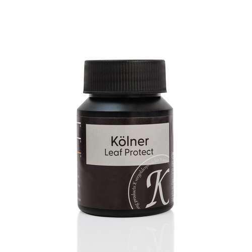 Vernis Leaf Protect 